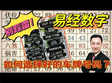 號碼吉兇查詢|81數理號碼吉兇查詢